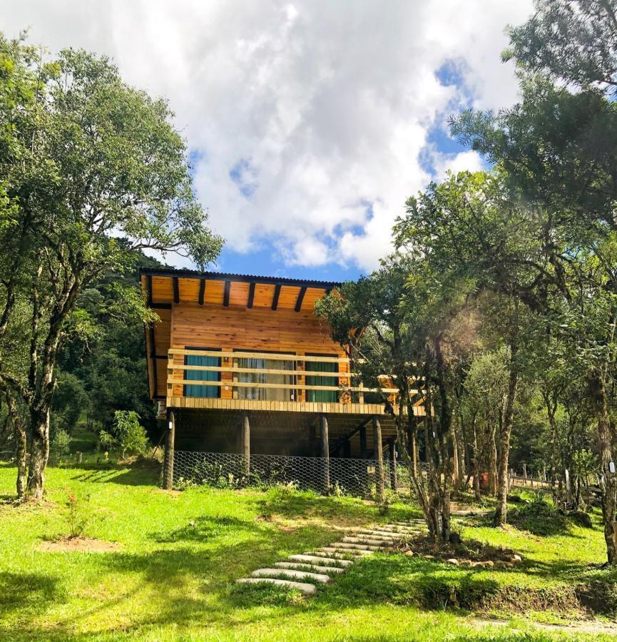 Cabanas Capoeiras Urubici Exteriör bild